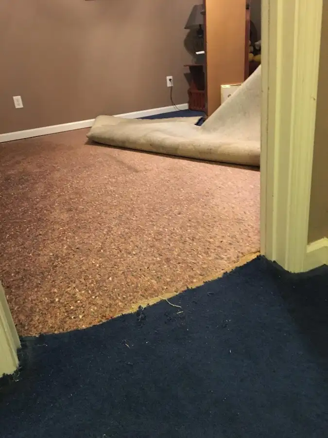 Carpet pad removal revealing water damage during Water Mitigation Services in Bonita Springs