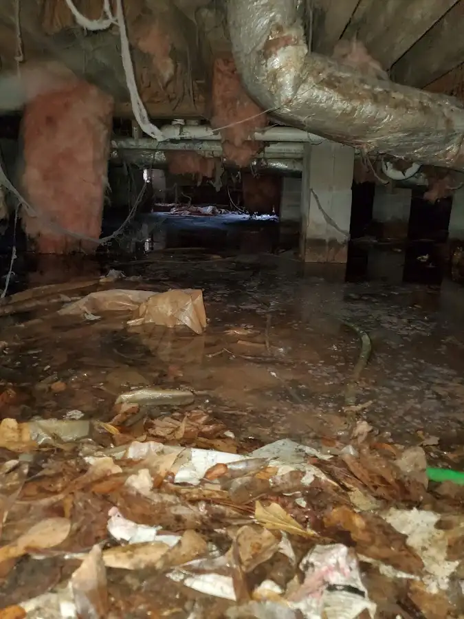 Crawl space flood assessment for Leak Detection & Repair in Bonita Springs